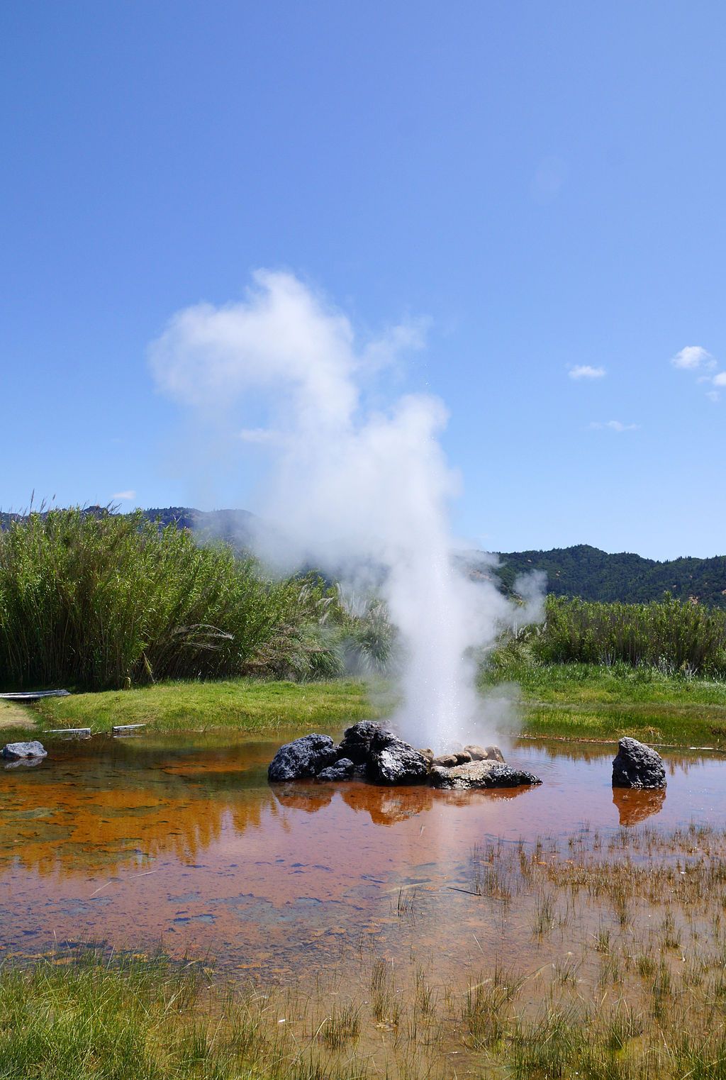 View of Old Faithful Geyser