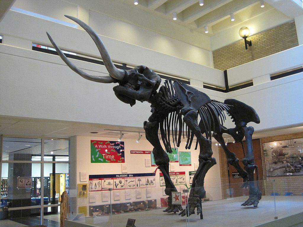 Inside Arkansas State University Museum