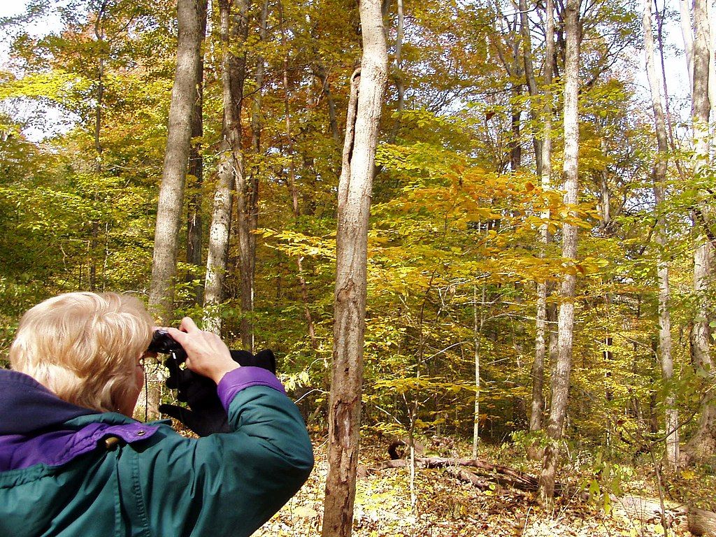 A woman at Wolf Branch Creek Nature Preserve
