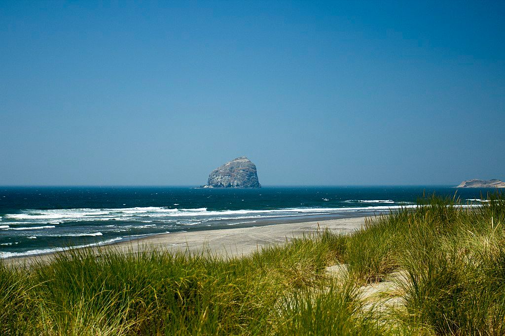 Scenic view of Bob Straub State Park