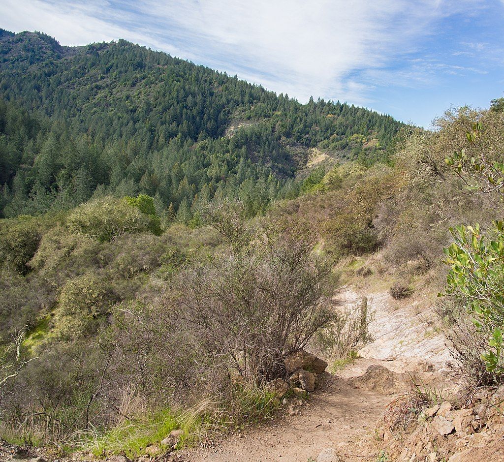 Trail at Bothe-Napa Valley State Park