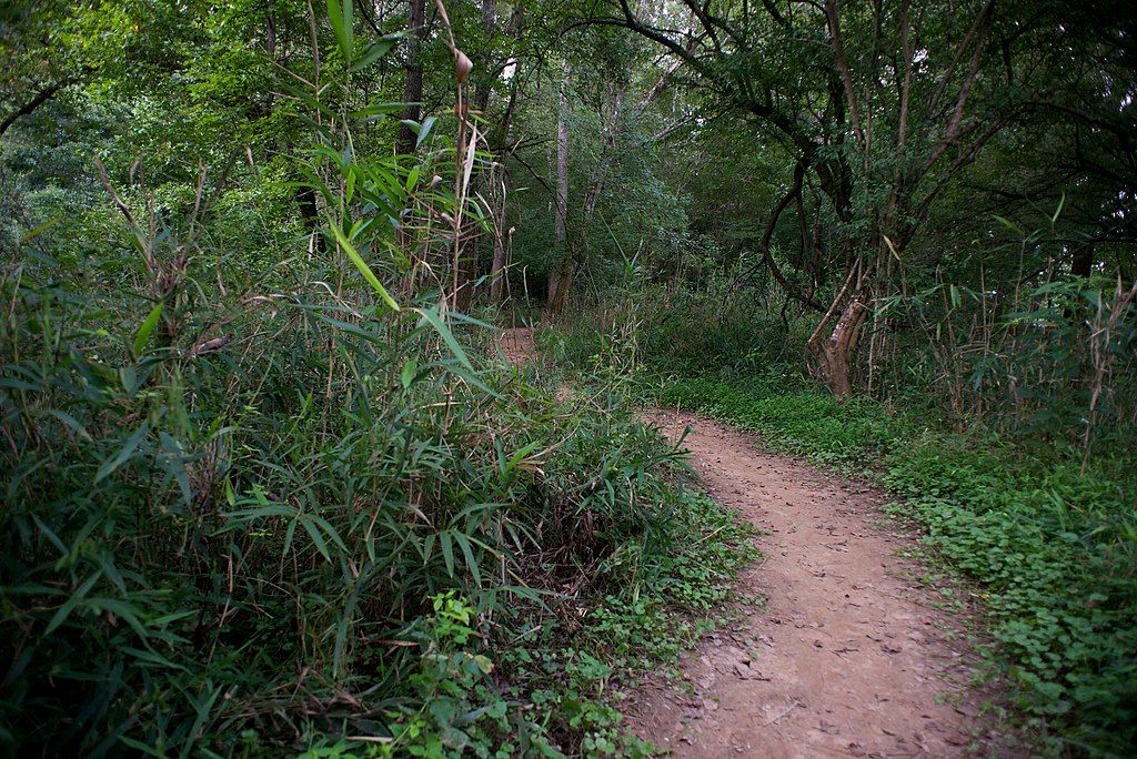 View of Chattahoochee Bend State Park