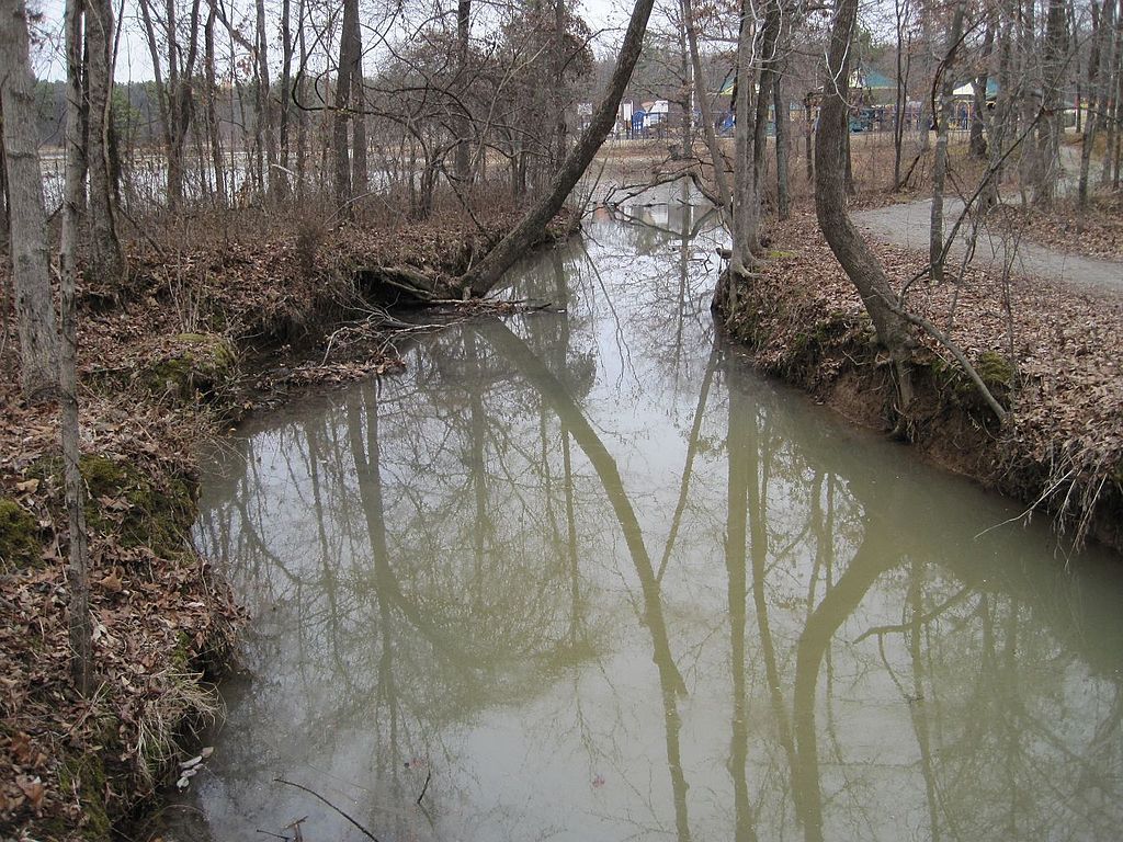 View of Craighead Forest Park