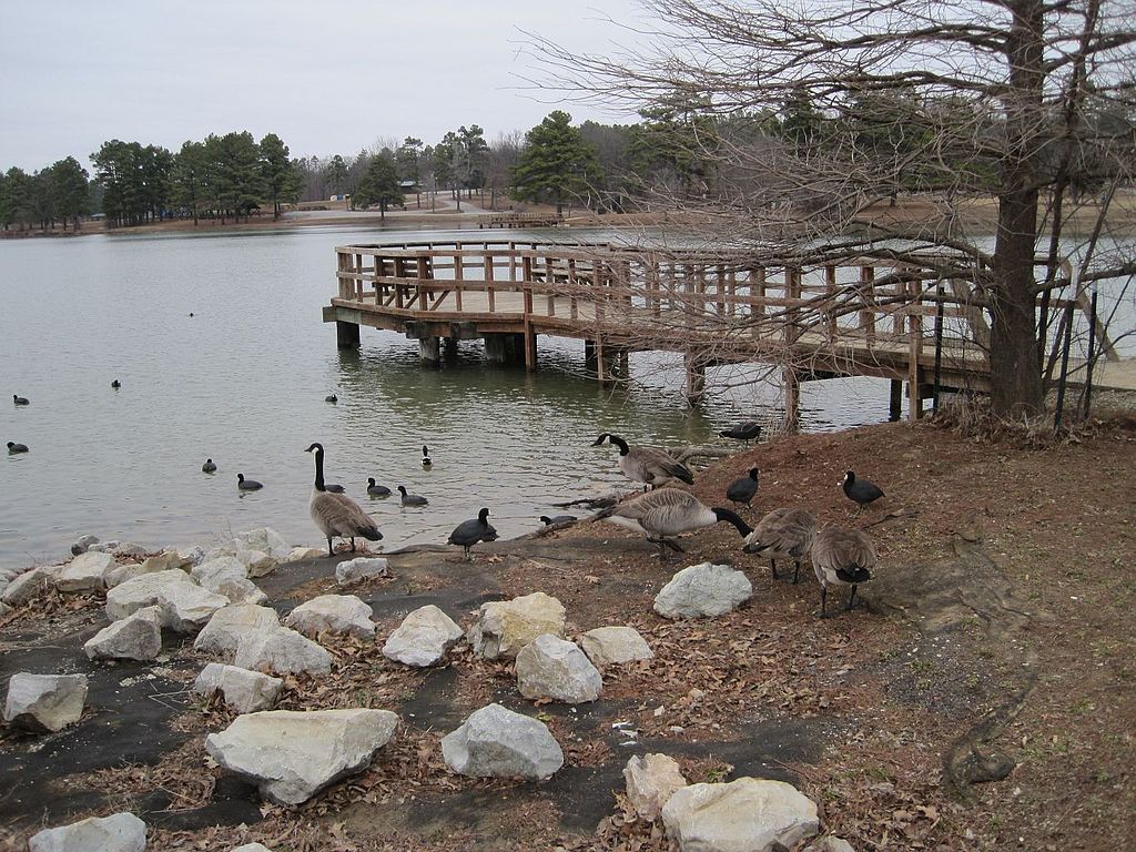 View of Craighead Forest Park