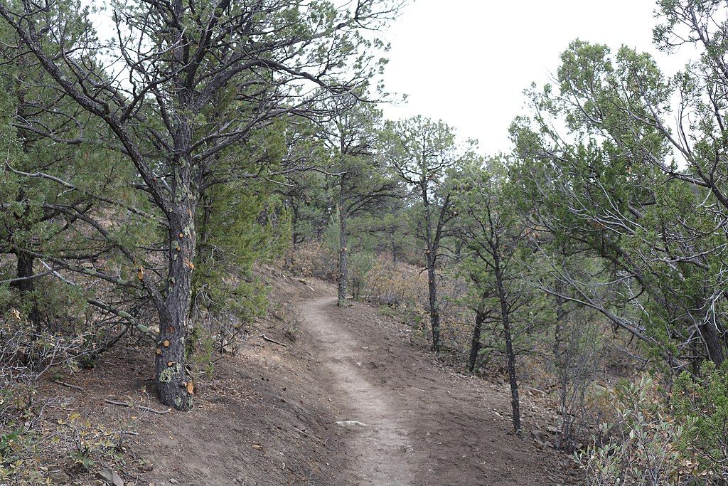 A Trail in Fishers Peak State Park