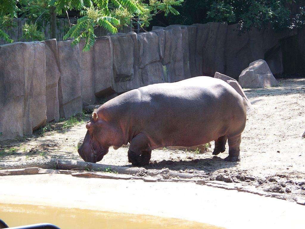 Animal at  Milwaukee County Zoo