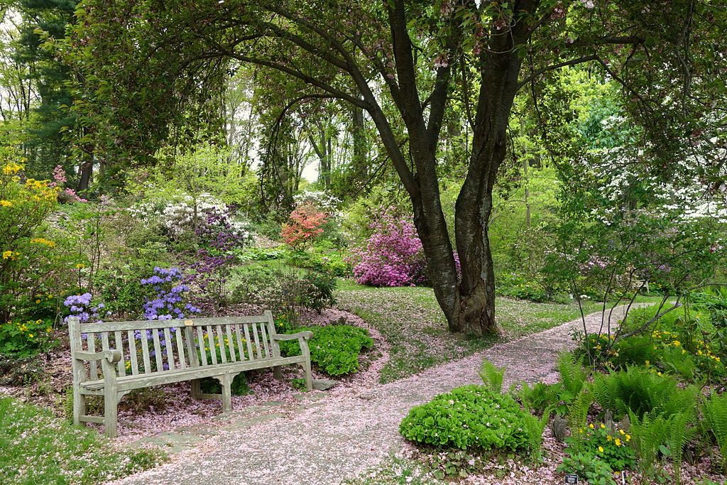 Bench at Jenkins Arboretum & Gardens in Devon, Pennsylvania