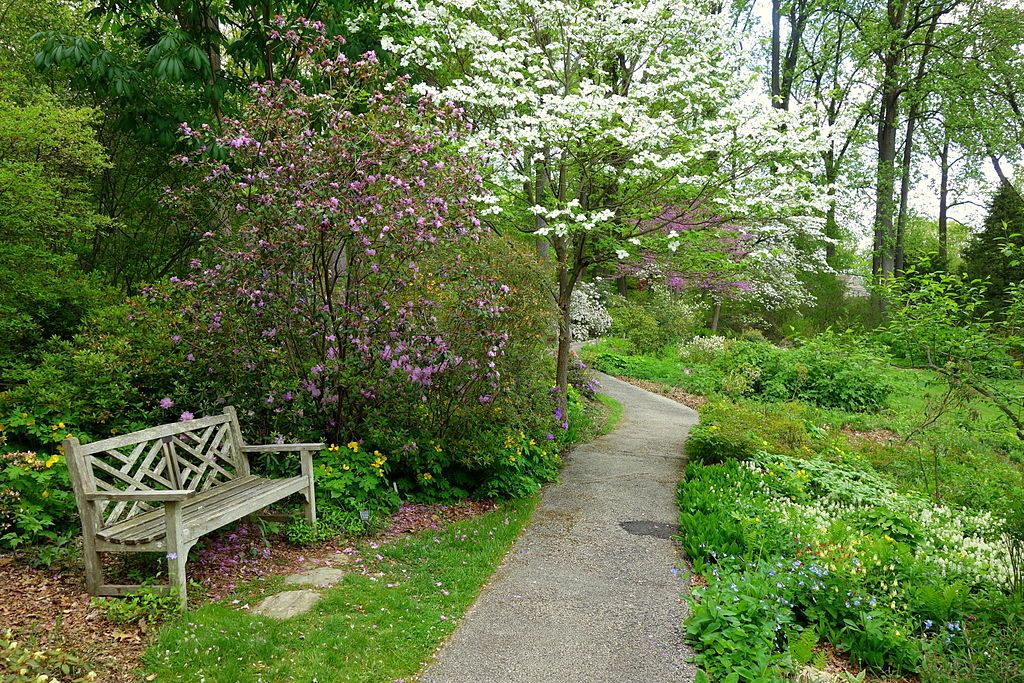 Pathway at Jenkins Arboretum & Gardens in Devon, Pennsylvania