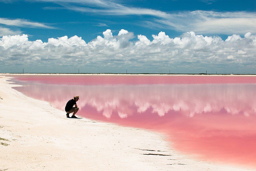 View of Pink Lakes of Las Coloradas