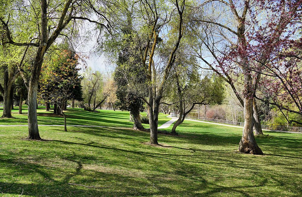 Beautiful View of Layton Commons Park