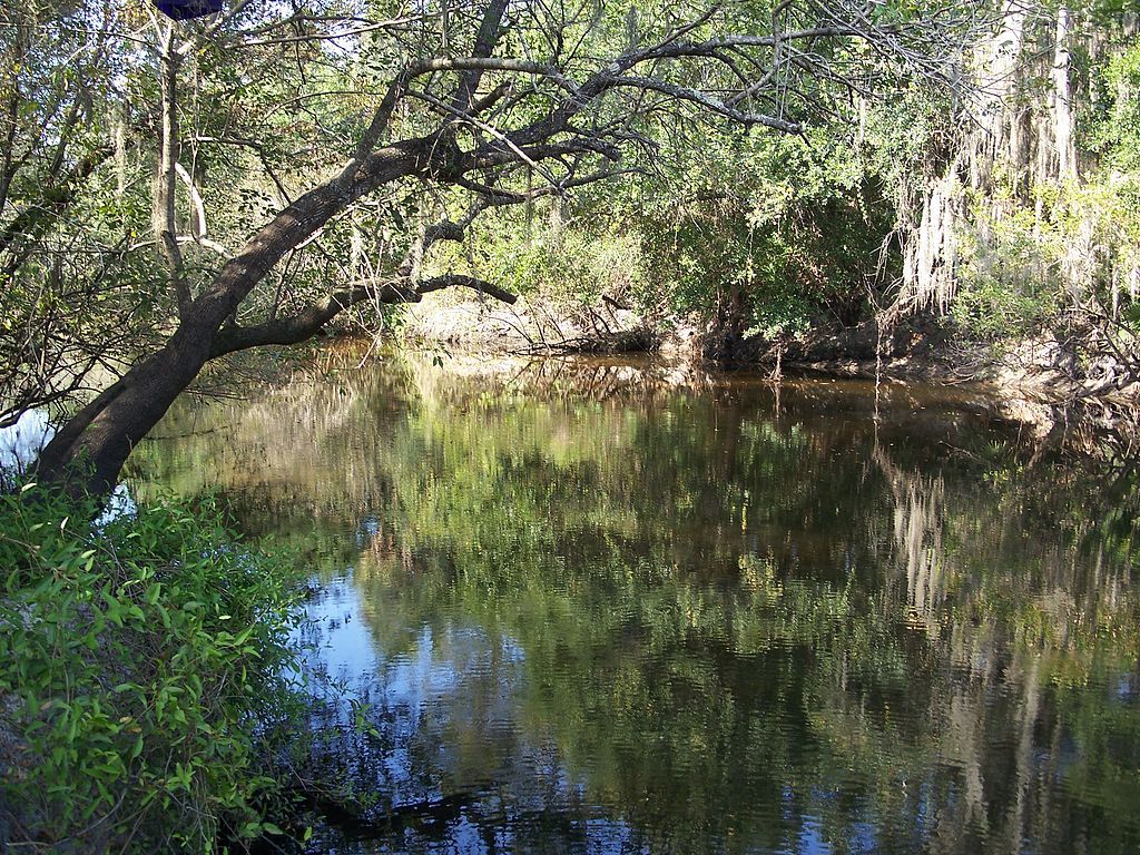 View of Little Manatee River State Park