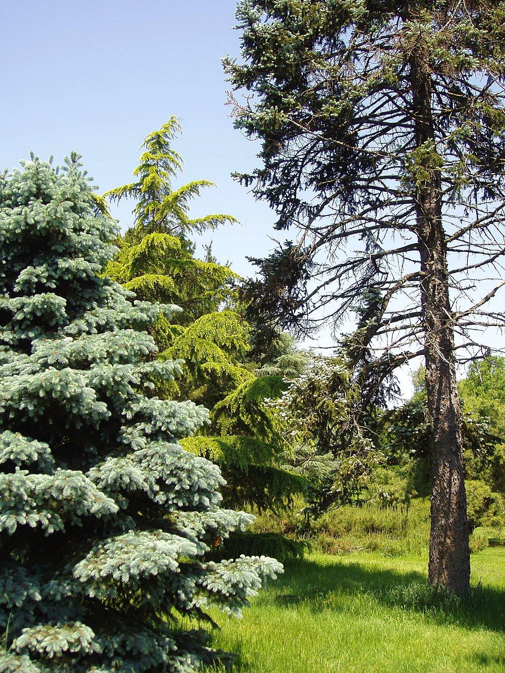 Lush greenery of Rutgers Gardens