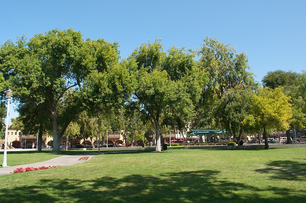 The grounds of Todos Santos Plaza