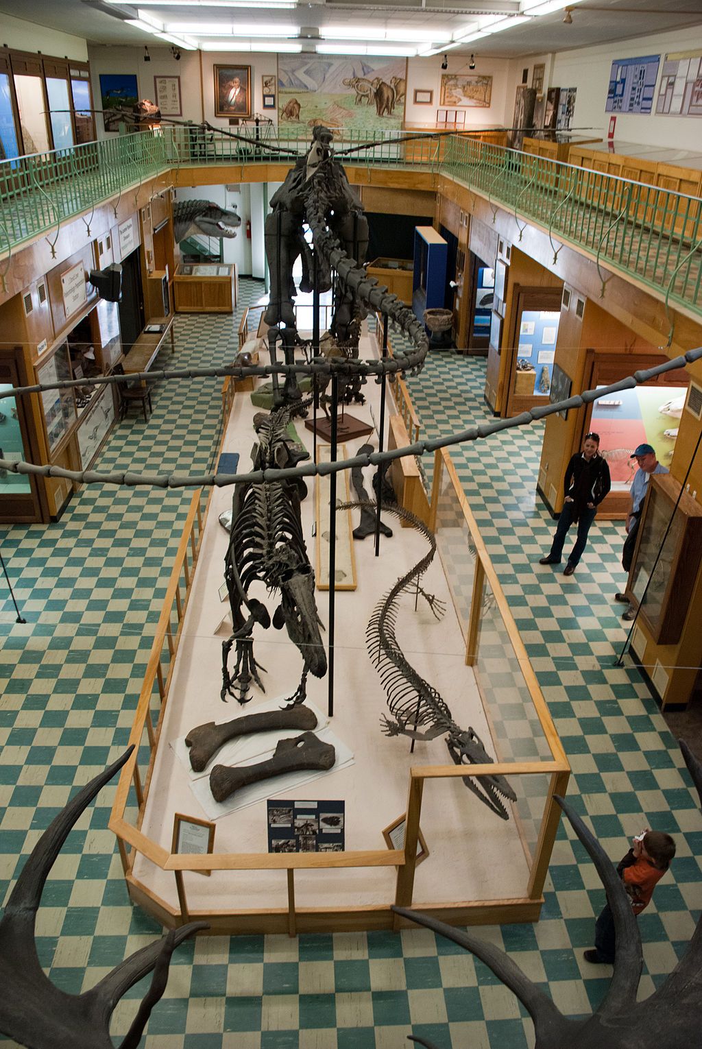 Inside University of Wyoming Geological Museum