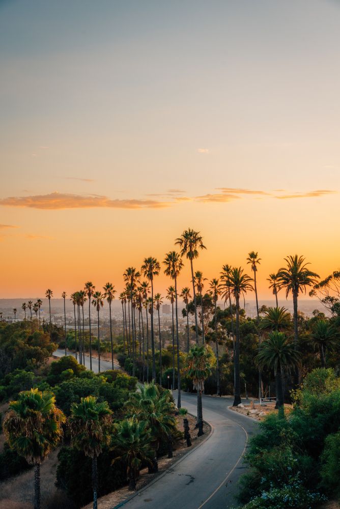 Sunset view at Elysian Park.