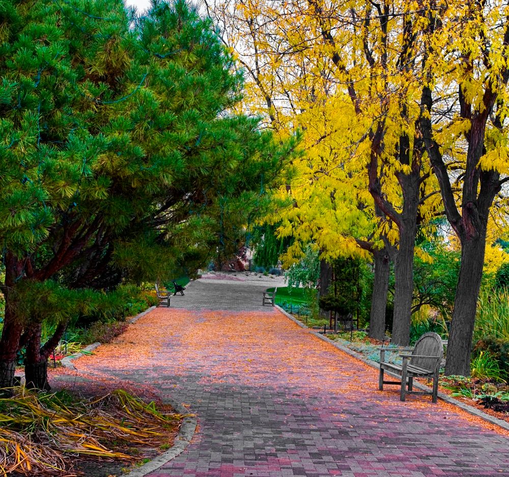 View of Idaho Botanical Garden