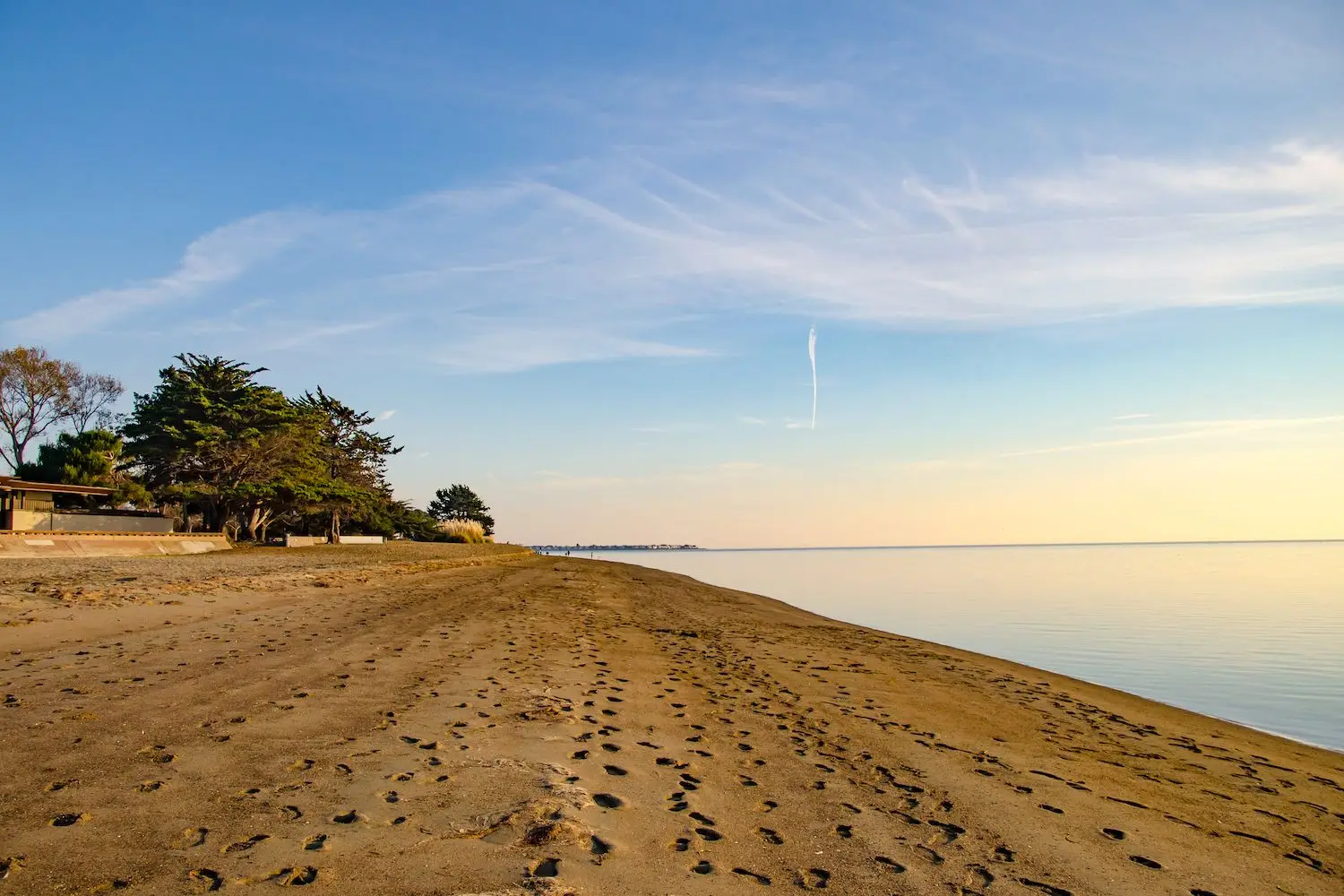 15 Best Things to Do in Alameda, CA