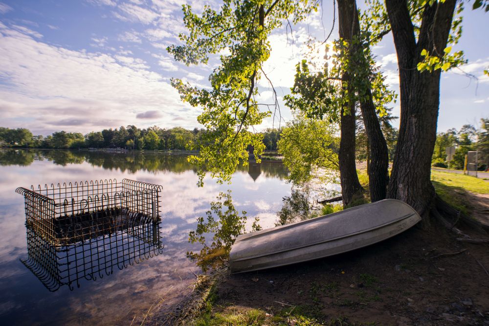 Scenic view of Albany Pine Bush Preserve