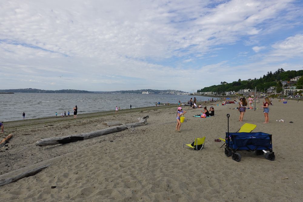 People enjoying their day at Alki Beach Park