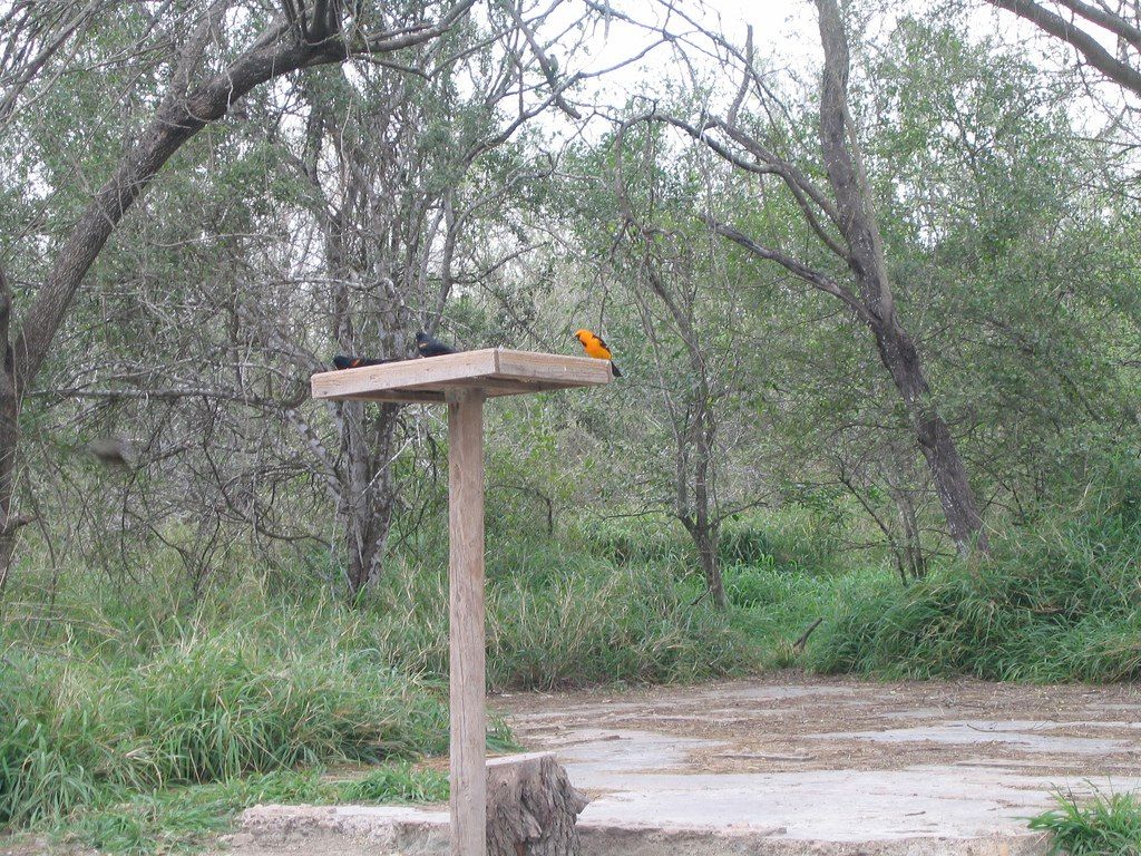 View of Bentsen-Rio Grande Valley State Park