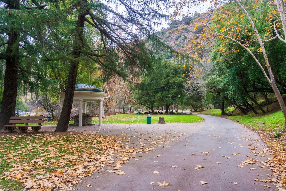 Trail at the Alum Rock Park
