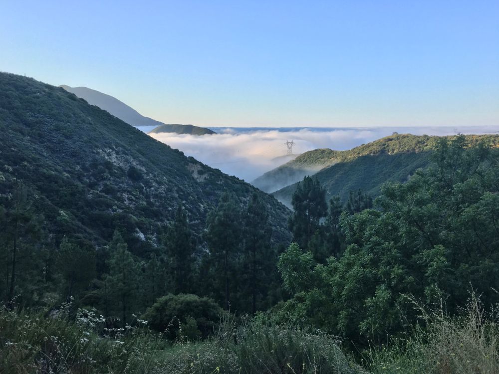 Scenic view of Angeles National Forest