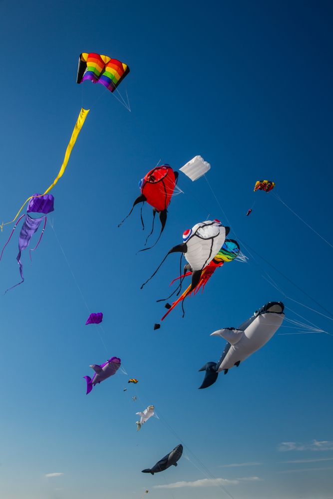 Colorful kites of different shapes flying high at Annual Summer Kite Festival