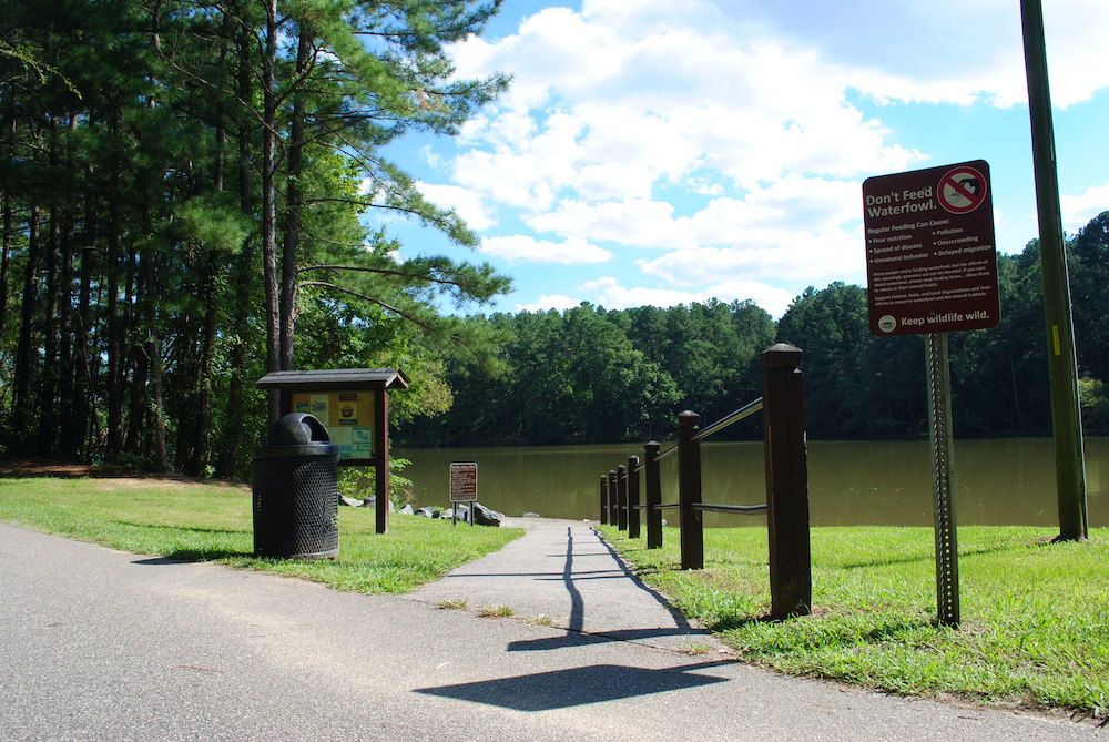 Lush trees surrounding Apex Community Park