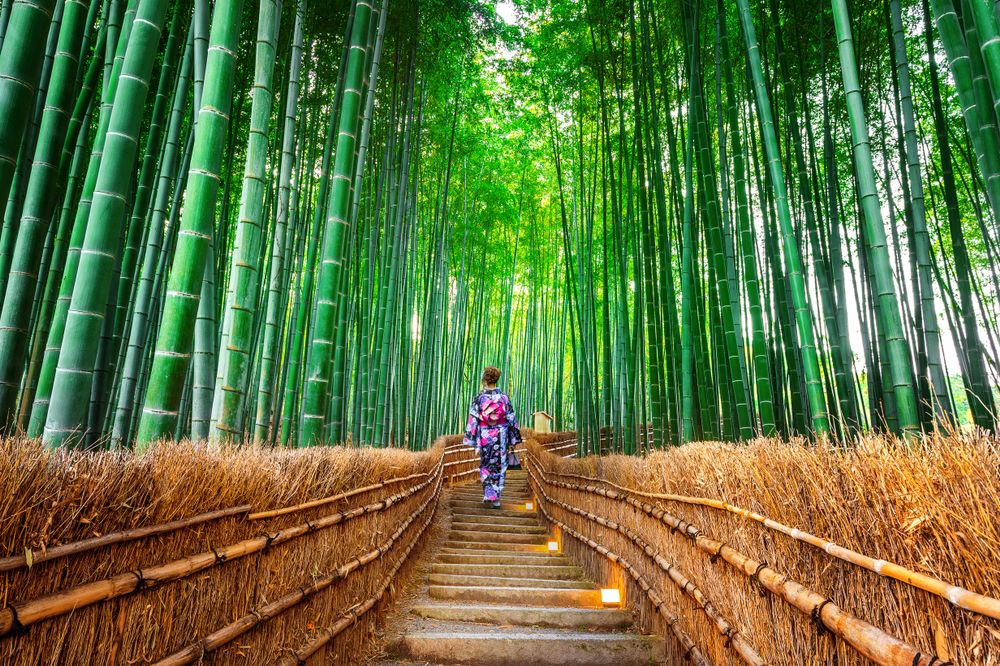 Arashiyama Bamboo Grove