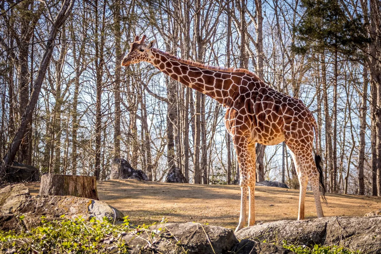 25 Best Things to Do in Asheboro, NC