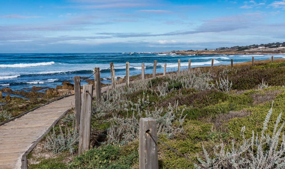Boardwalk trail at Asilomar State Beach
