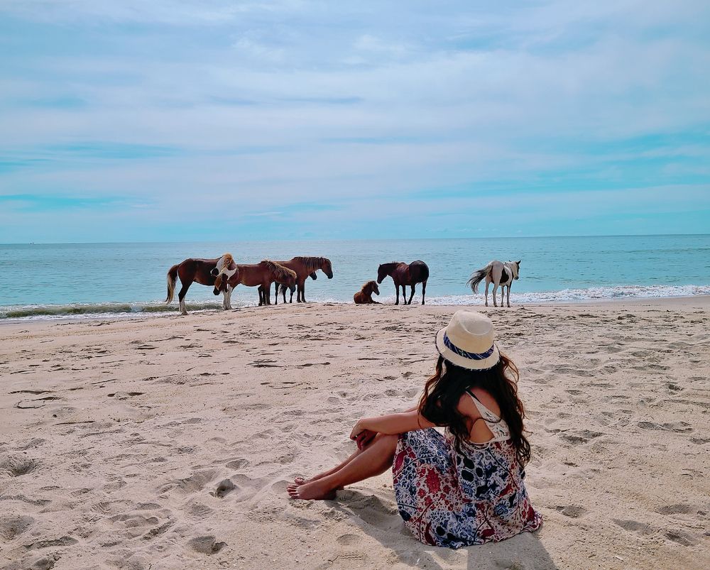 A young woman enjoying the beautiful sight of wild horses at Assateague Island National Seashore