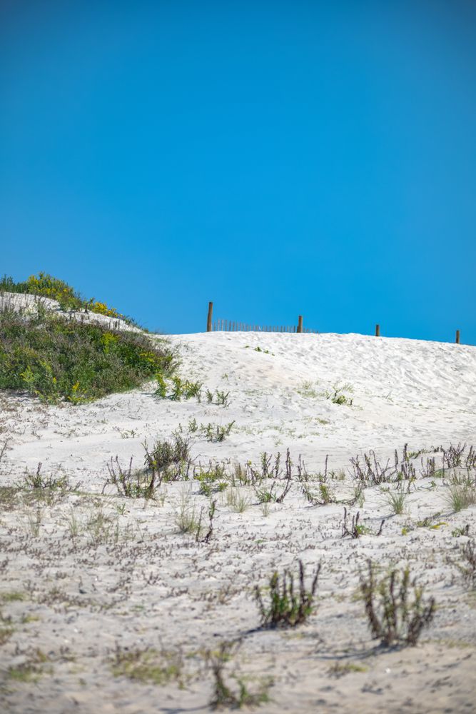 Sand dunes at Assateague Island National Seashore