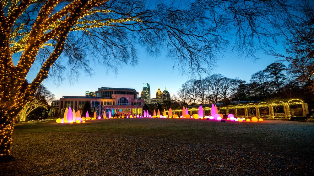 Atlanta's Botanical Garden lights