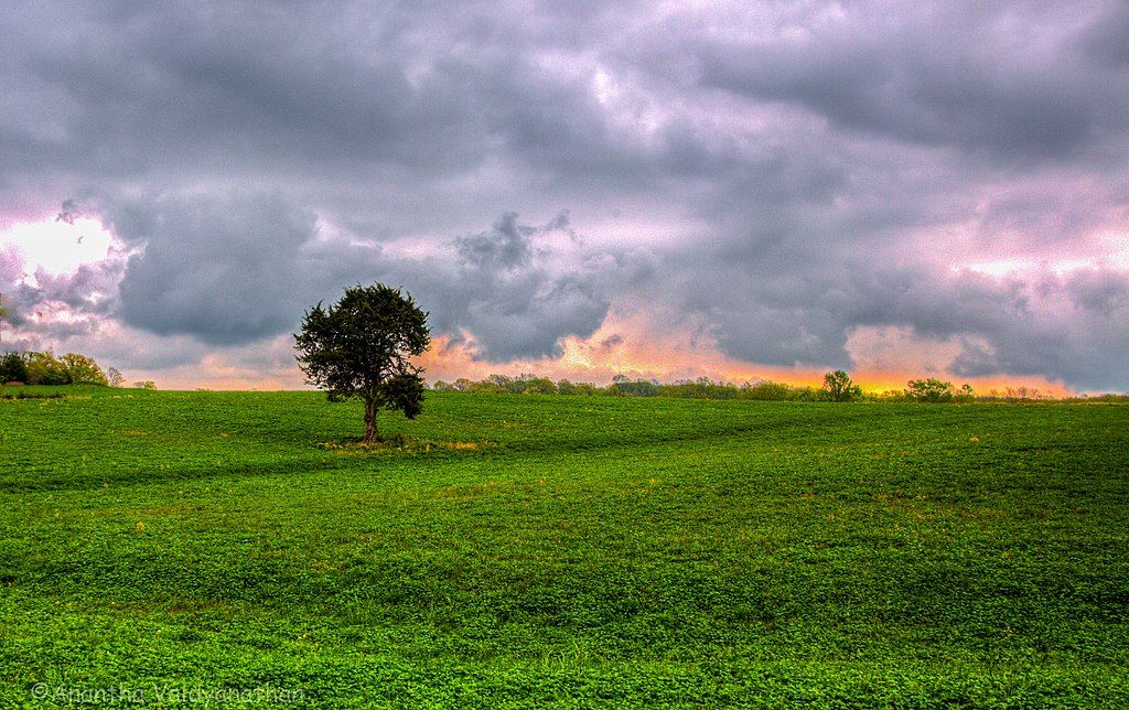 August A. Busch Memorial Conservation Area
