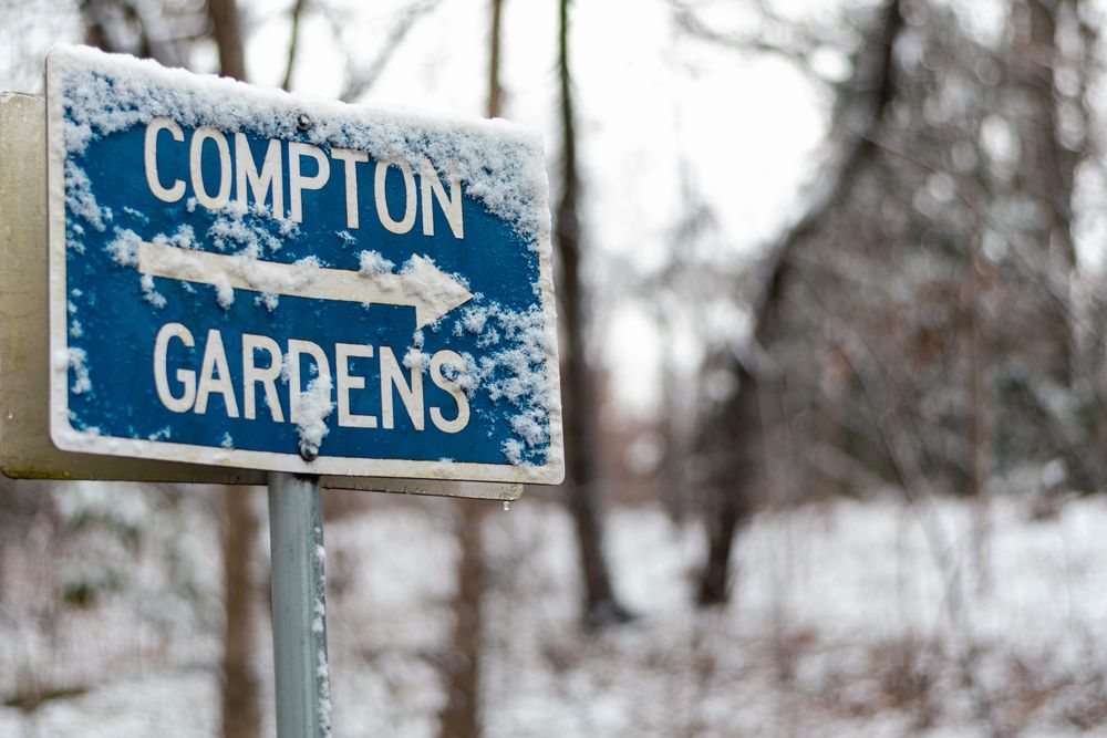 Snow-covered sign of Compton Gardens
