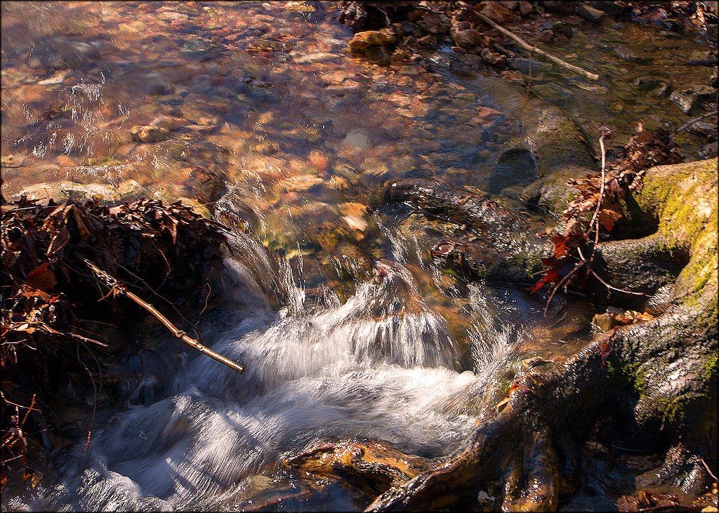 Sinking stream at Hobbs State Park