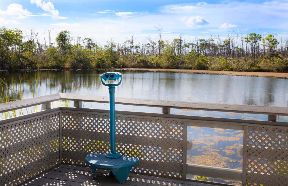 The Blue Hole Observation Platform