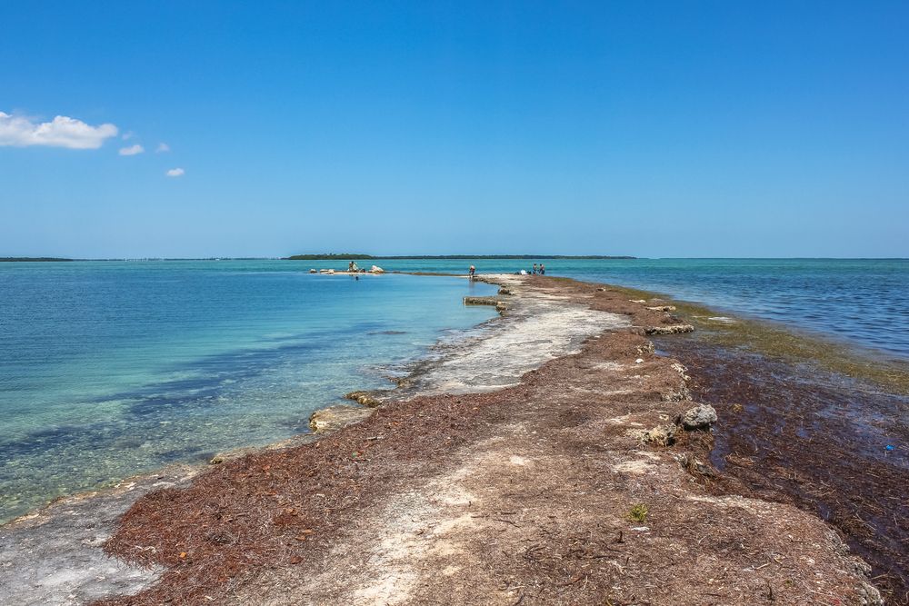 The waters of No Name Key
