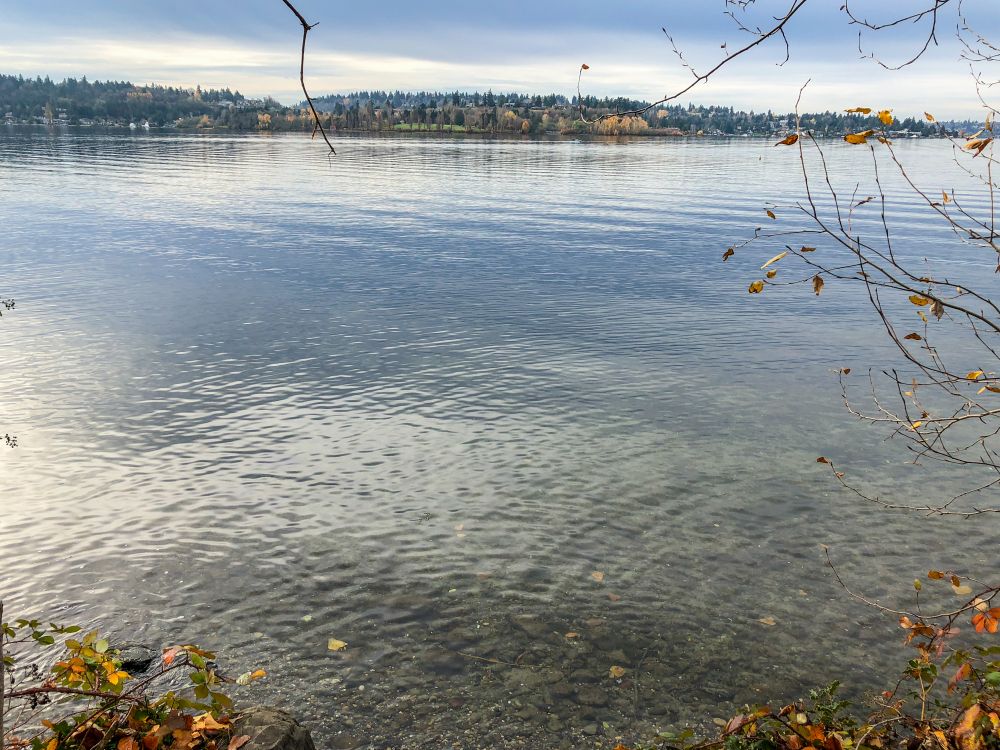 The calm waters of Chism Beach Park