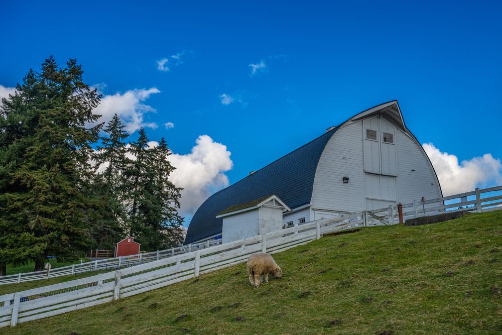 Exterior of Kelsey Creek Farm's barn
