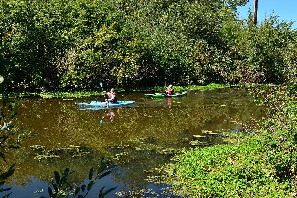 Kayakers on the water of Mercer Slough Nature Park