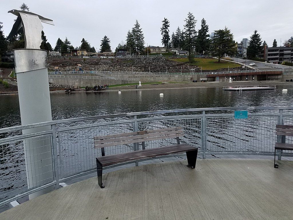 A bench facing away from Meydenbauer Bay Park's water