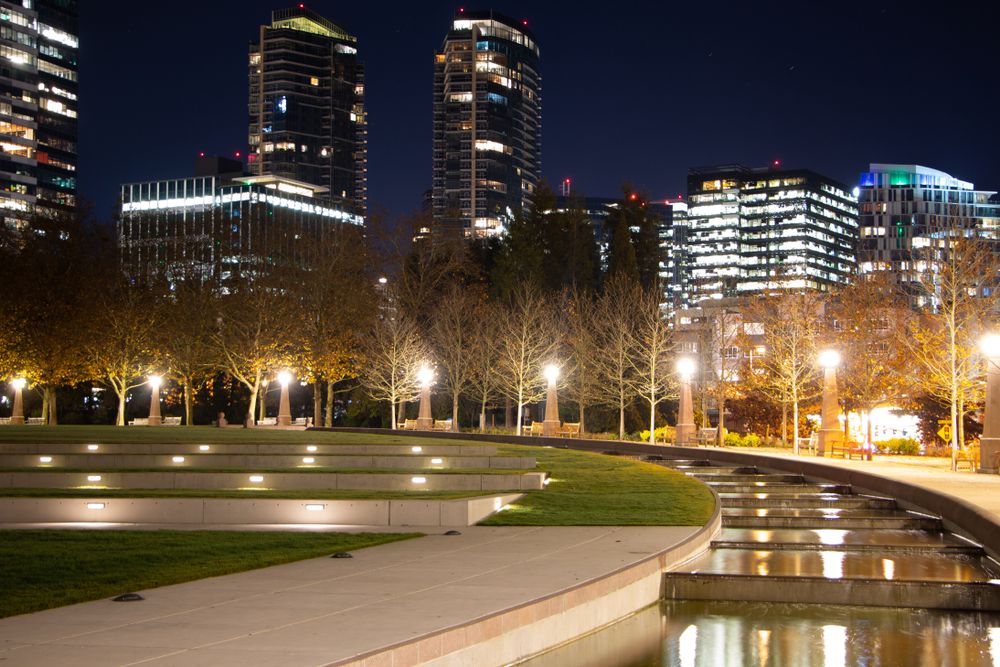 Bellevue's park at night