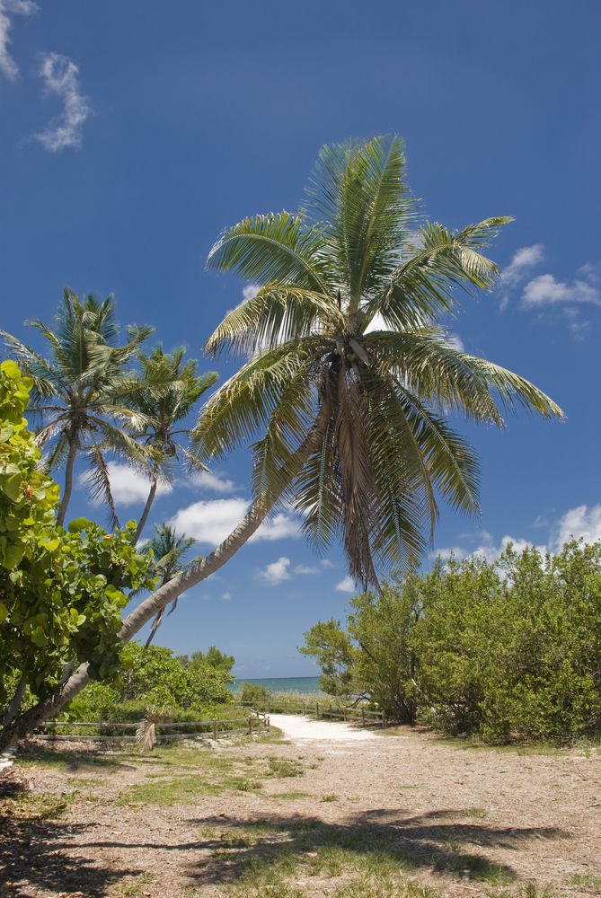 Scenic view of Bahia Honda State Park