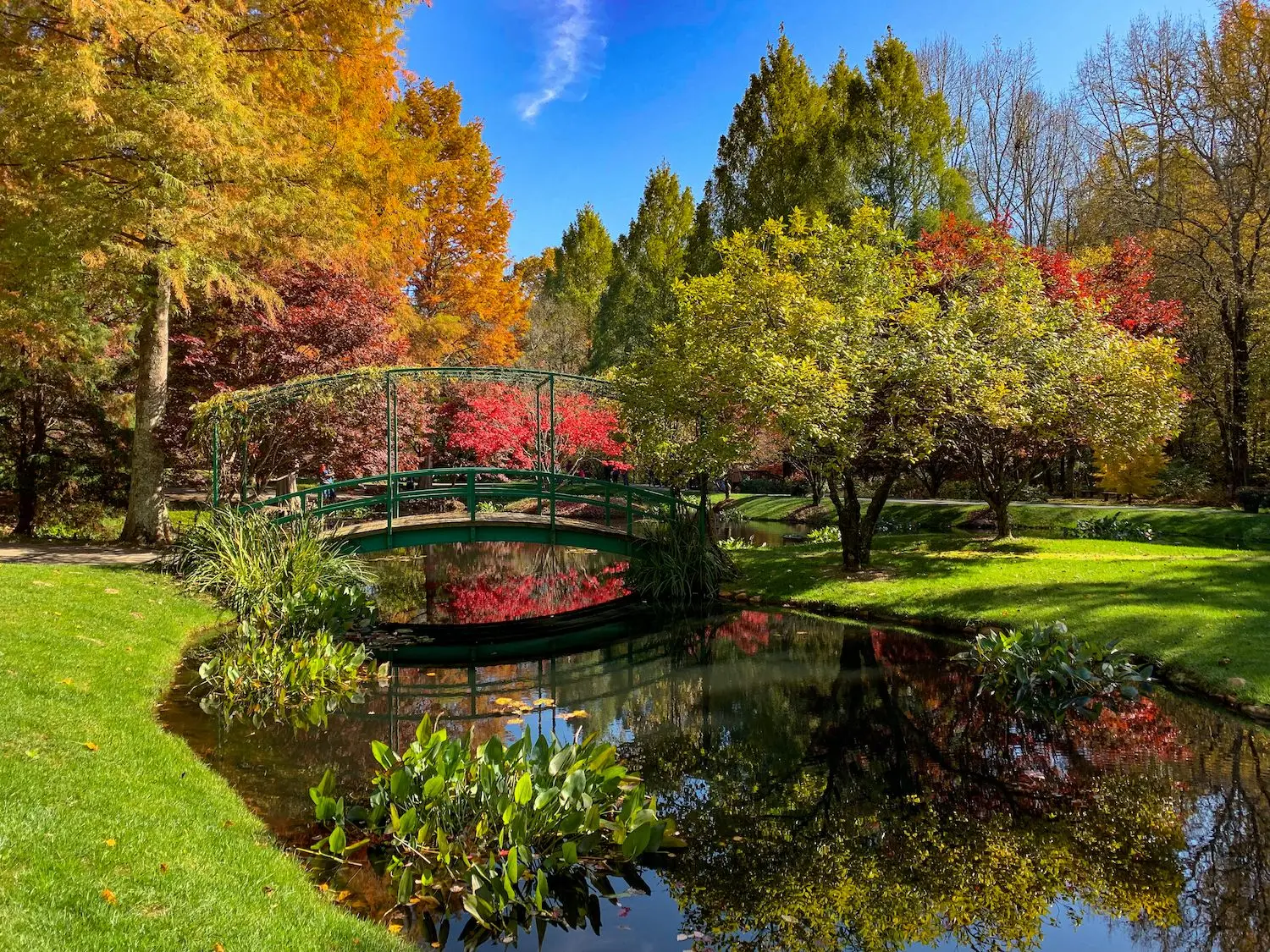 15 Best Things to Do in Ball Ground, GA
