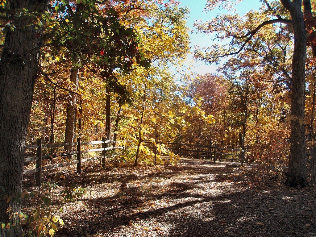 Nature trail at Ball’s Bluff Battlefield Regional Park