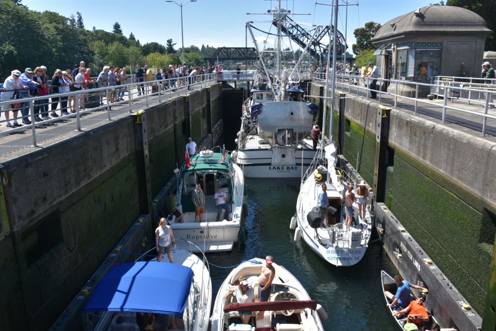 Boating in Ballard Locks