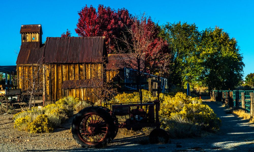 Scenic view of Bartley Ranch Regional Park