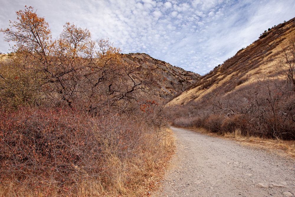 Battle Creek hiking trail